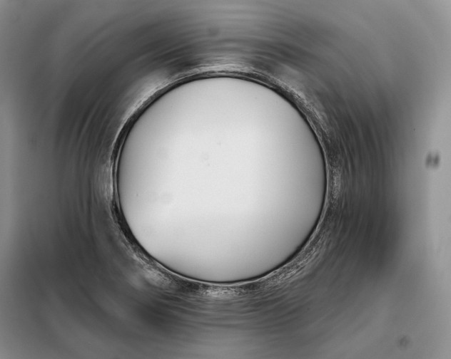 X0000098051274200804111303