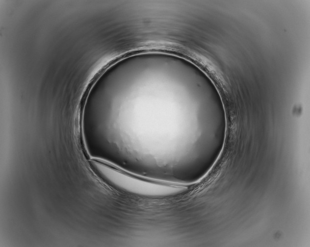 X0000098051275200804111303