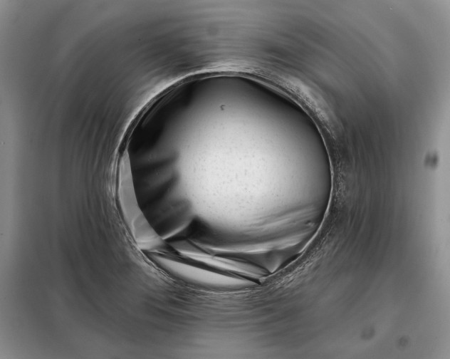 X0000098051276200804111303