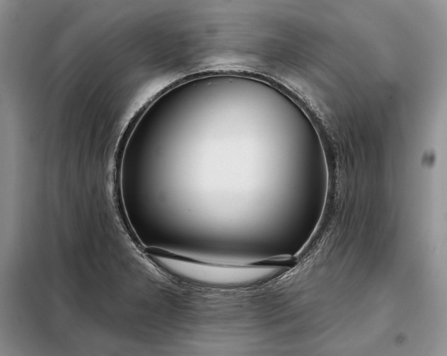 X0000098051277200804111303