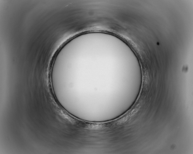 X0000098051278200804111303