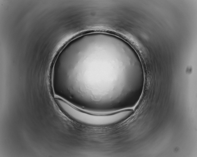 X0000098051279200804111303