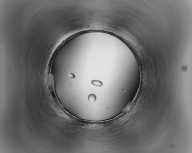 X0000098051280200804111303