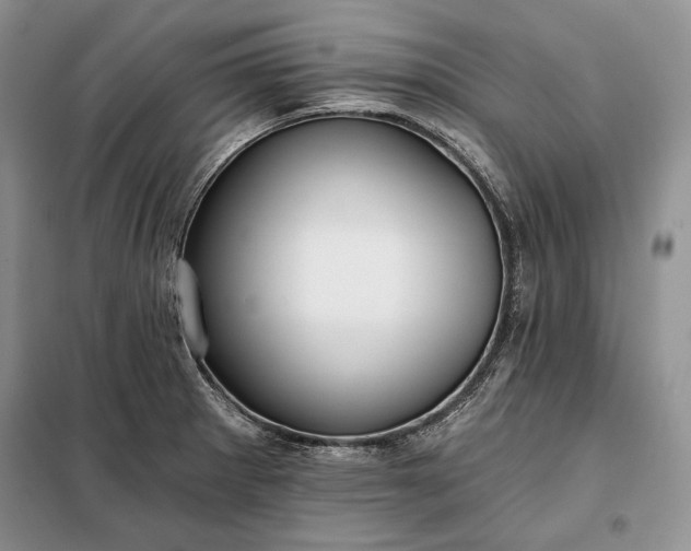 X0000098051281200804111303