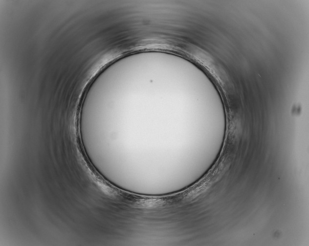 X0000098051282200804111303