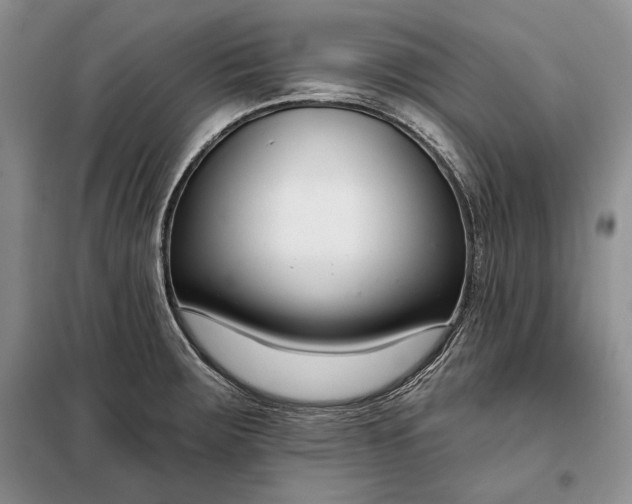 X0000098051283200804111303