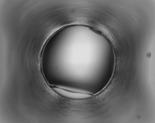 X0000098051284200804111303