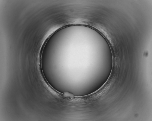 X0000098051285200804111303