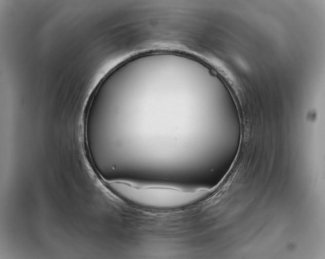 X0000098051287200804111303