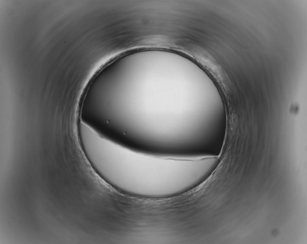 X0000098051288200804111303