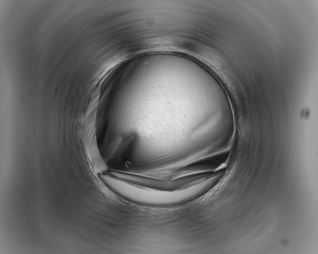 X0000098051289200804111303