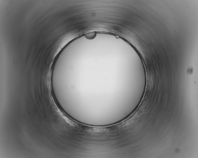 X0000098051290200804111303