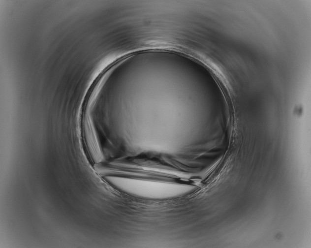 X0000098051291200804111303