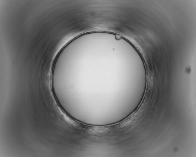 X0000098051294200804111303