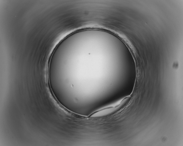 X0000098051295200804111303