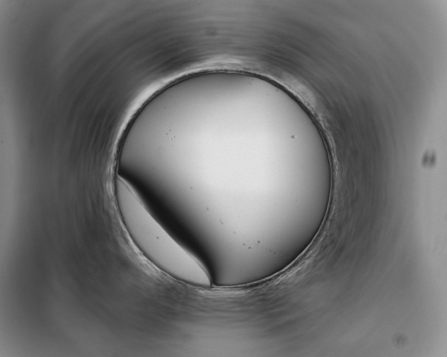 X0000098051296200804111303