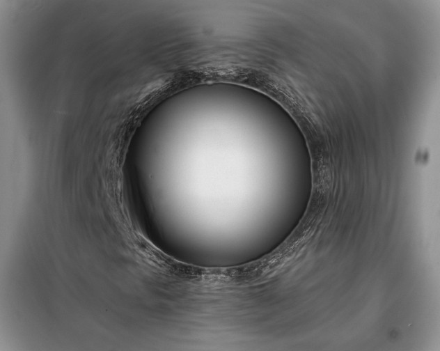 X0000098051297200804111302