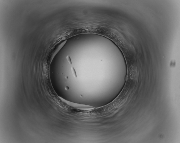 X0000098051298200804111302