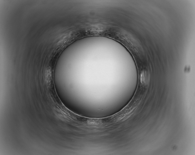 X0000098051299200804111302