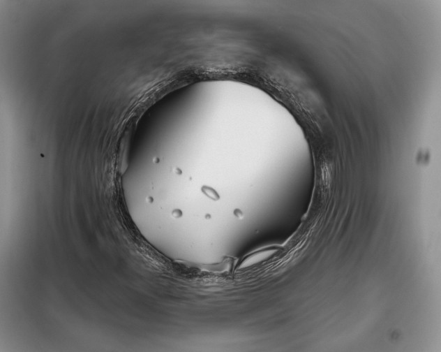 X0000098051300200804111302