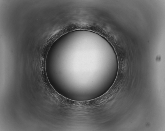 X0000098051301200804111302