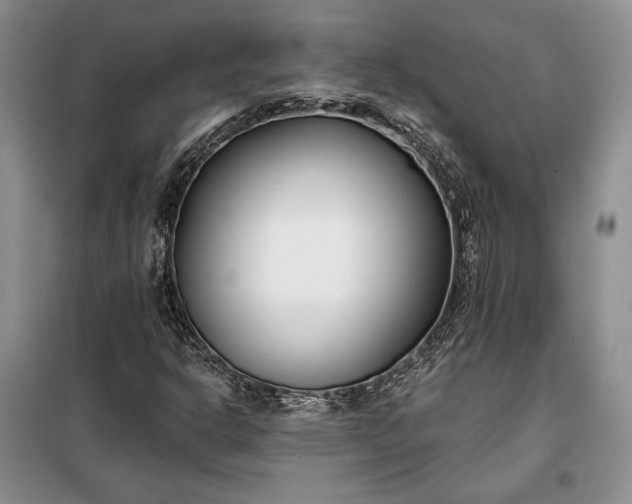 X0000098051302200804111302