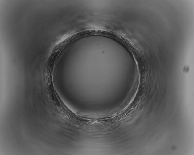 X0000098051303200804111302