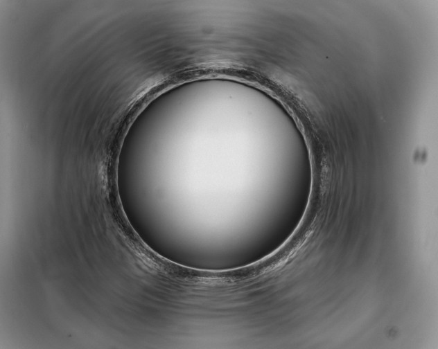 X0000098051305200804111302