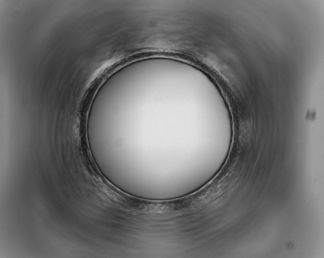 X0000098051307200804111302