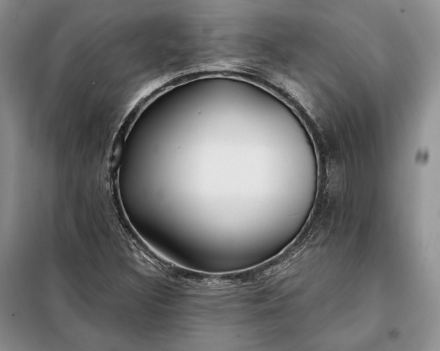 X0000098051308200804111302