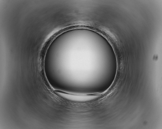 X0000098051310200804111302