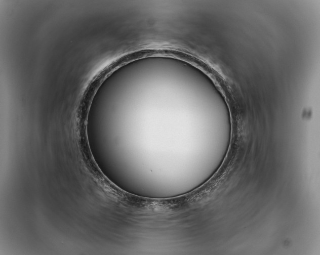 X0000098051311200804111302