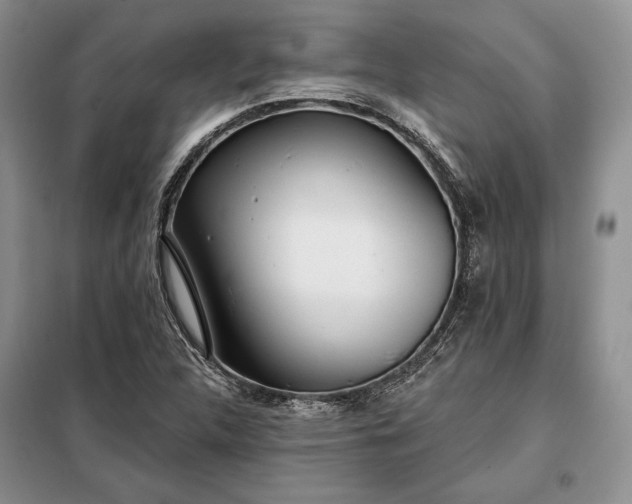 X0000098051312200804111302