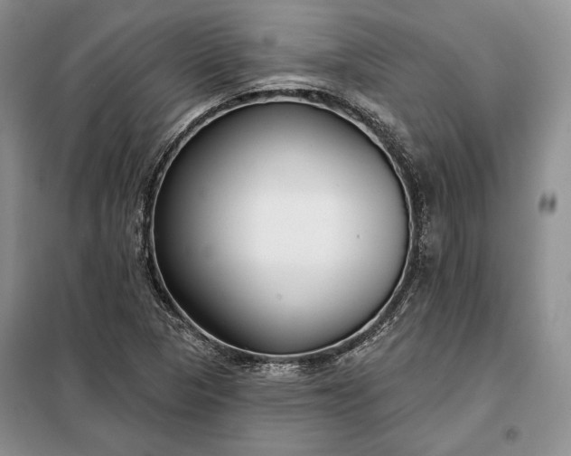 X0000098051313200804111302