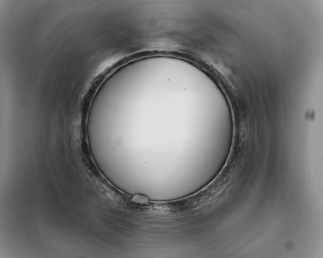 X0000098051315200804111302