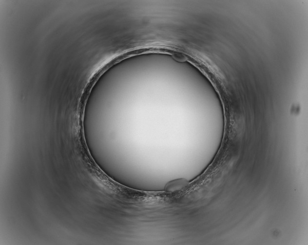 X0000098051316200804111302