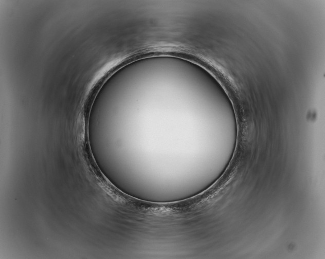 X0000098051317200804111302