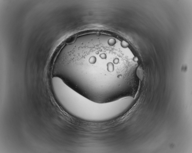 X0000098051318200804111302