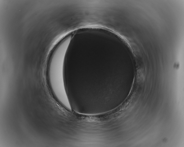 X0000098051319200804111302