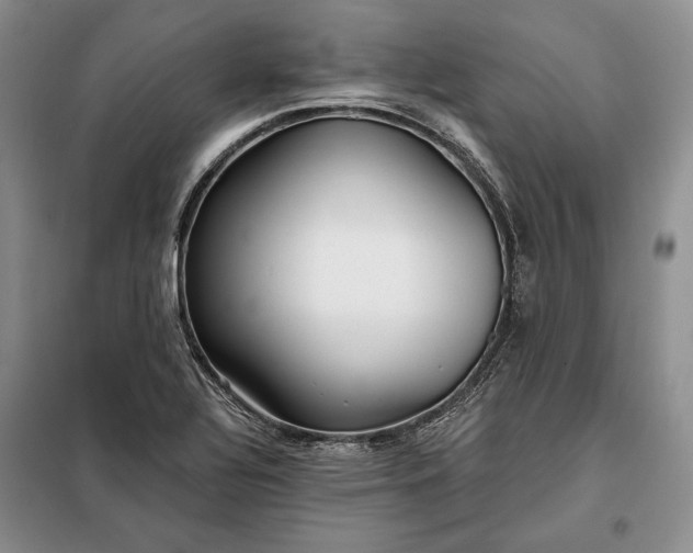 X0000098051320200804111302