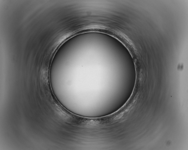 X0000098051321200804111302