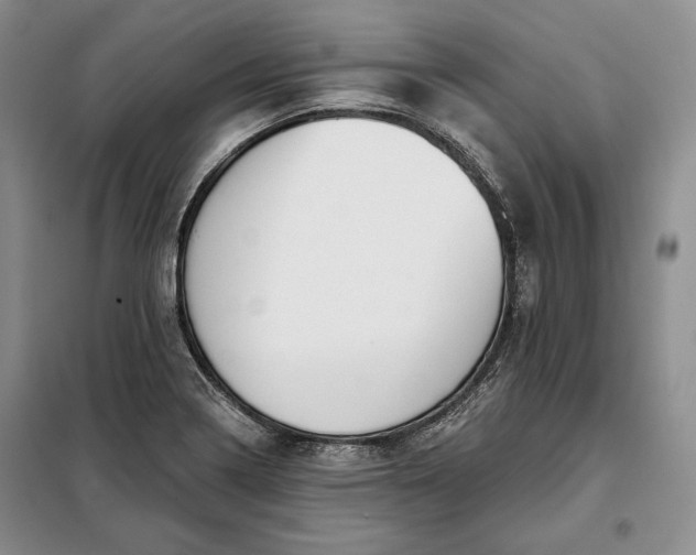 X0000098051322200804111302