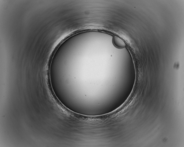 X0000098051325200804111302