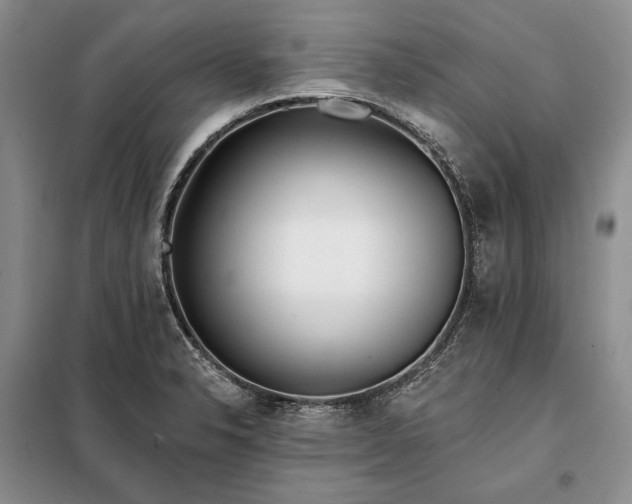 X0000098051326200804111302