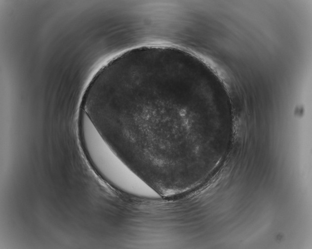 X0000098051327200804111302