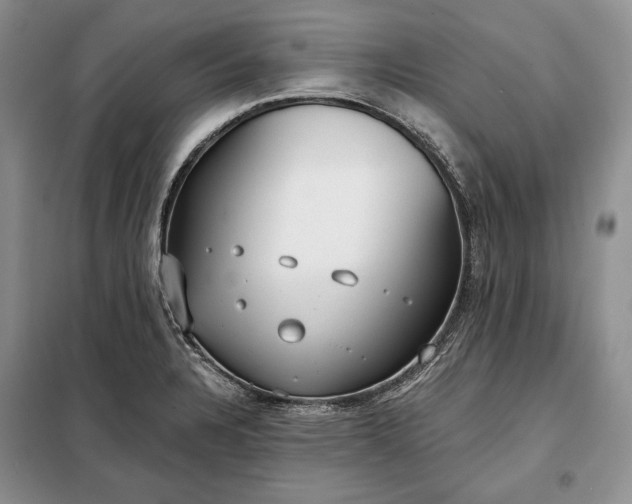 X0000098051328200804111302