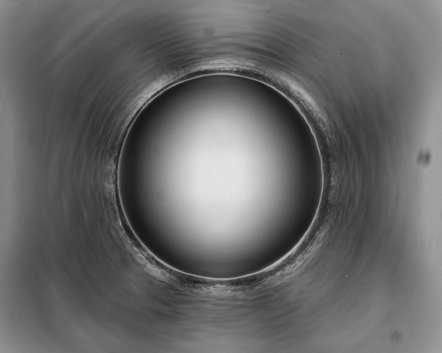 X0000098051329200804111302