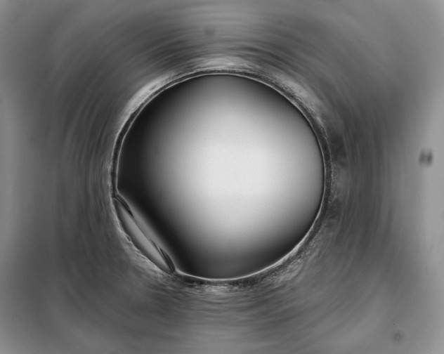 X0000098051330200804111302