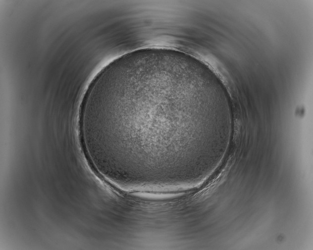 X0000098051331200804111302