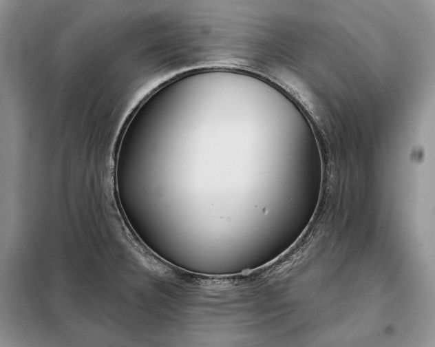 X0000098051332200804111302